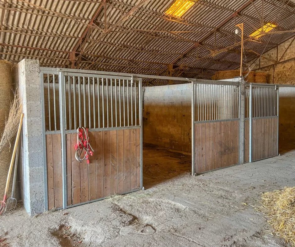 Intérieur d'un haras avec plusieurs box pour chevaux.
