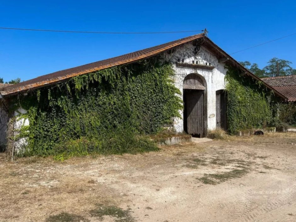 Bâtiment équestre recouvert de végétation sur un domaine à Ménesplet, Dordogne.