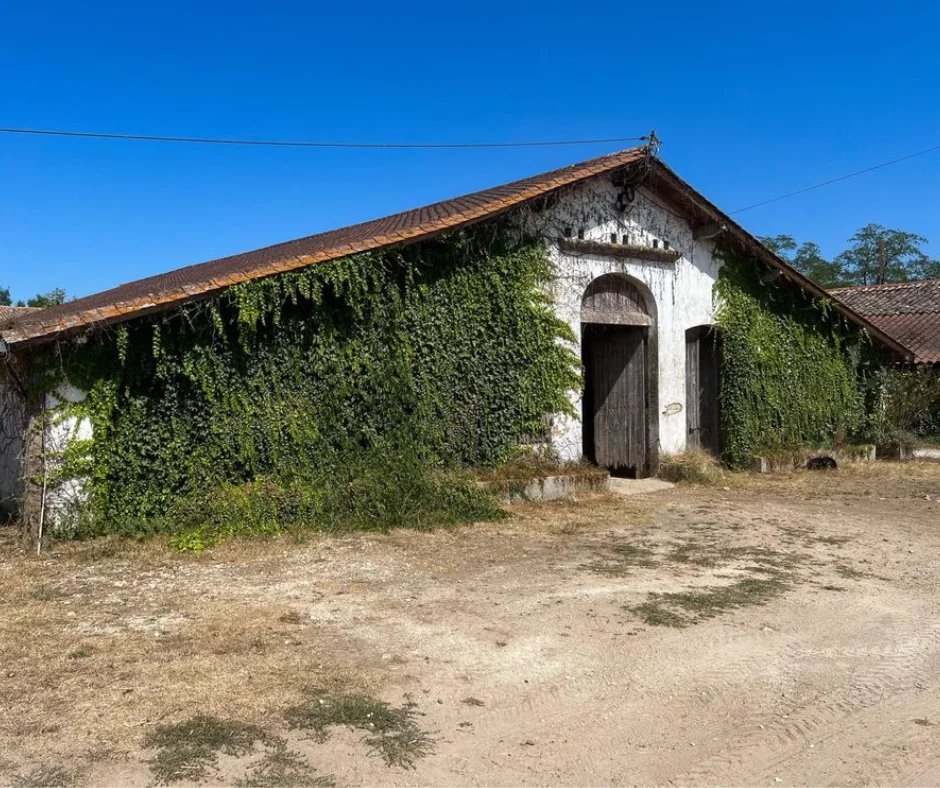 Bâtiment équestre recouvert de végétation sur un domaine à Ménesplet, Dordogne.