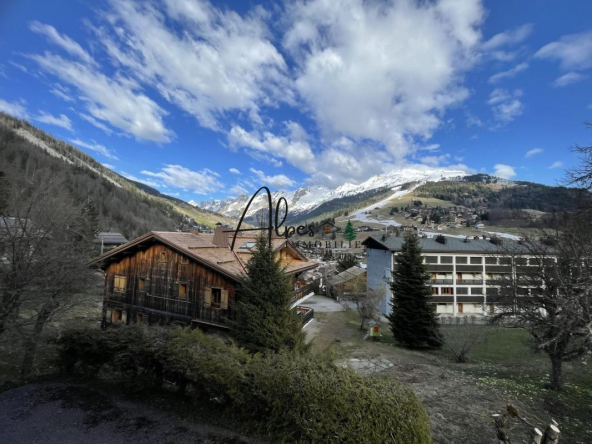 Chalet emplacement de choix