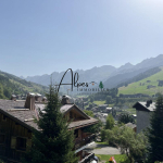 Chalet emplacement de choix