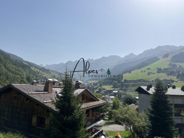 Chalet emplacement de choix