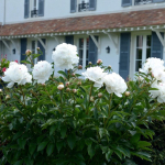 Family home with guest house and swimming pool
