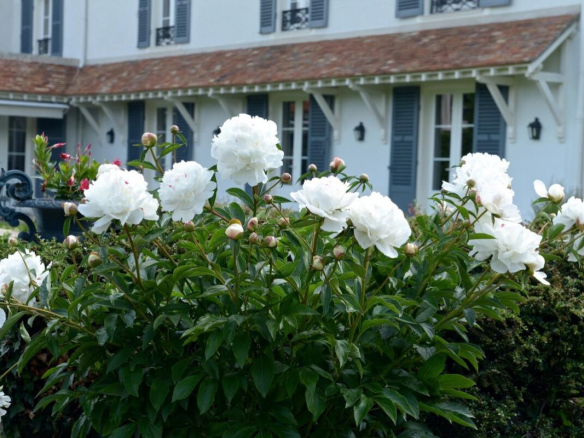 Maison de famille avec maison d’amis et piscine