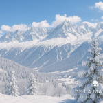 VENTE CHALET DE LUXE CONDITIONS FINANCIERES EXCEPTIONNELLES