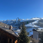 Chalet in a prime location