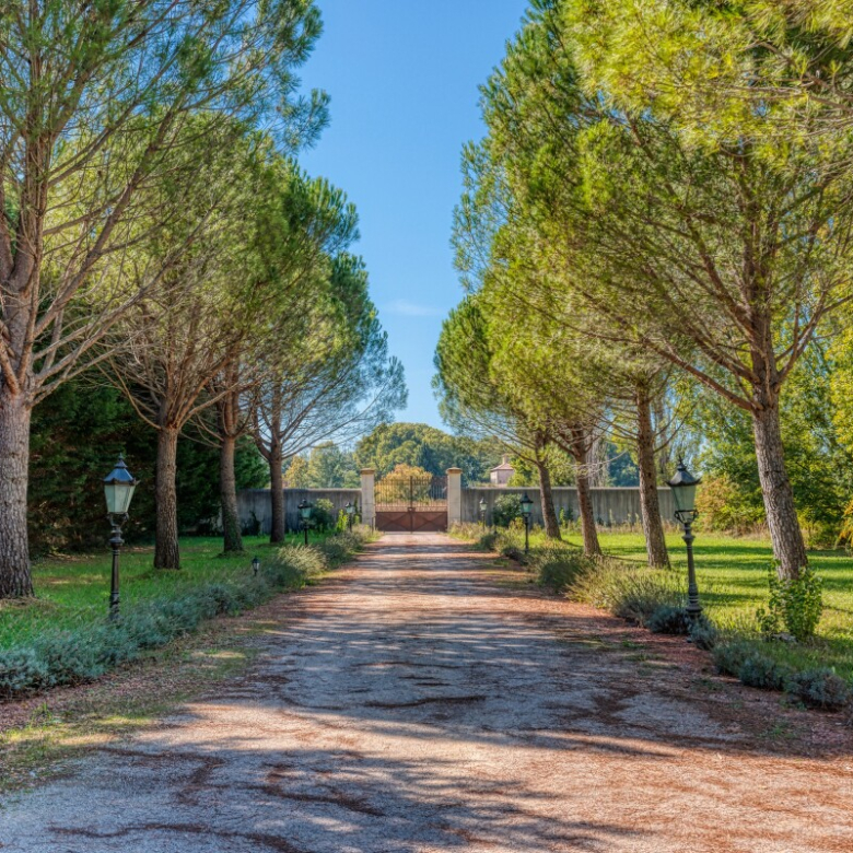 Maison – Cavaillon – 300m²