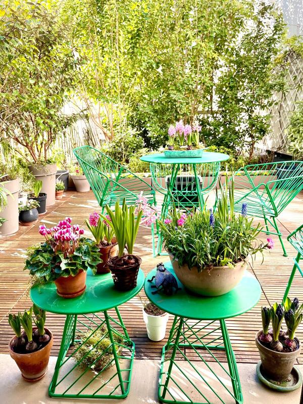 Contemporary house for sale, 6 rooms