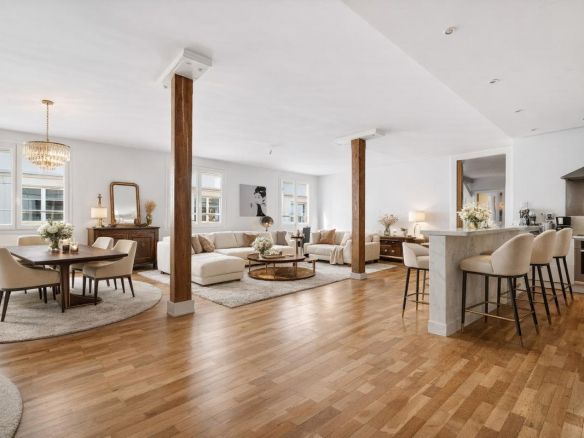 Appartement de 210m2 loi carrez Paris 11e