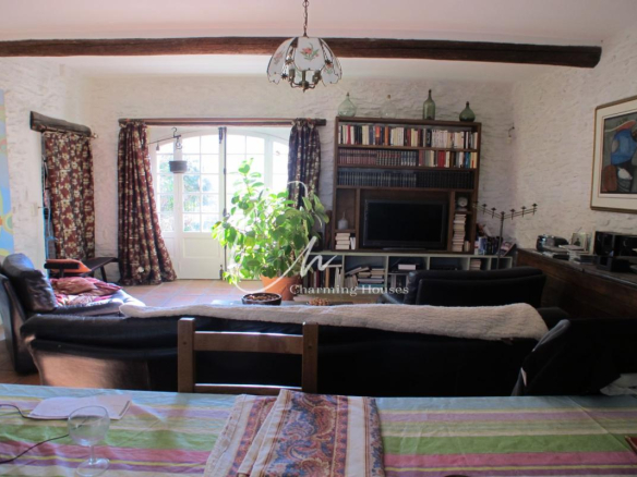 Cozy living room with white brick walls, a large potted plant by glass doors, and a TV surrounded by a bookshelf. A colorful striped tablecloth is in the foreground.