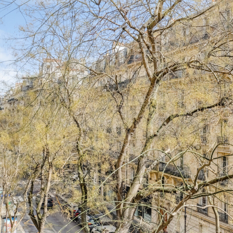 Place des Vosges View