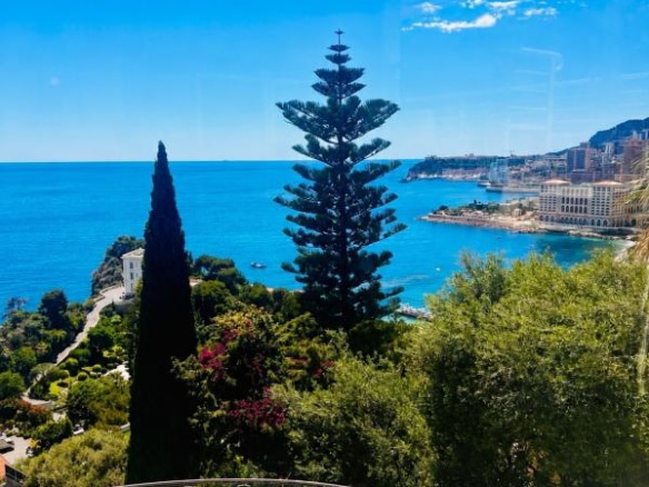 Vue panoramique sur la Méditerranée depuis une villa à Roquebrune-Cap-Martin, avec arbres et paysages côtiers.