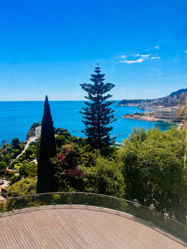 Vue panoramique sur la Méditerranée depuis une villa à Roquebrune-Cap-Martin, avec arbres et paysages côtiers.