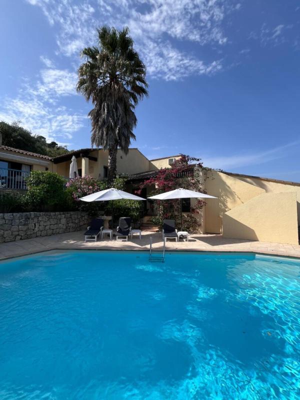 House with swimming pool and palm tree in Gattières, panoramic view of the surrounding landscape.
