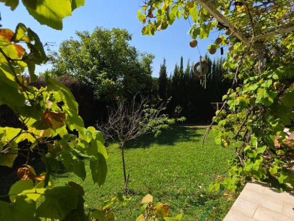 View of the garden of a house in Paradou, with trees and greenery under a blue sky.