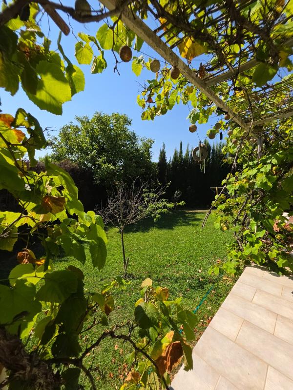 Garden of a house in Paradou View of the garden of a house in Paradou, with trees and greenery under a blue sky.
