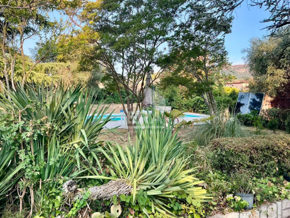 Garden with swimming pool and lush vegetation surrounding a house in La Gaude.