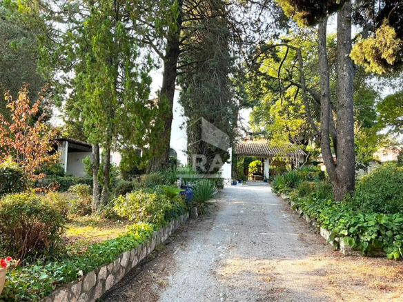 Driveway leading to a house surrounded by trees and greenery in La Gaude.