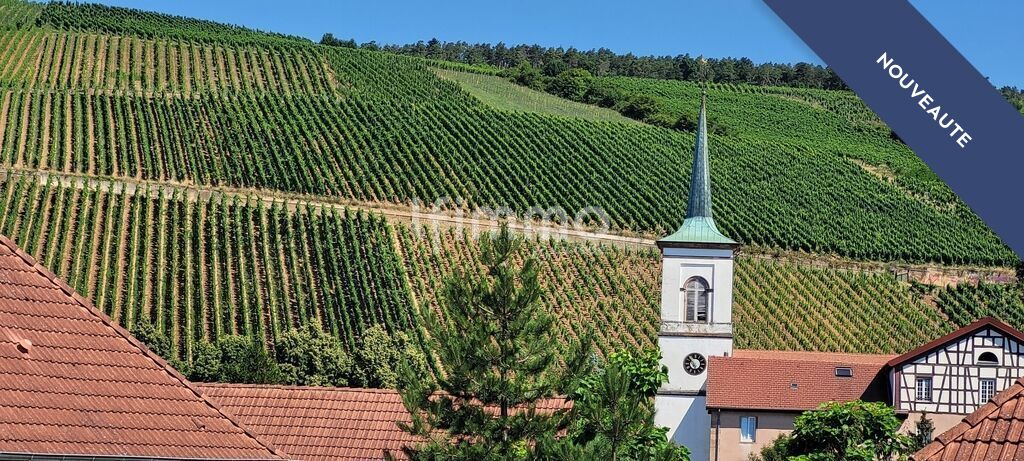 Vignes et église à Barr Vue sur des vignes et une église dans un paysage vallonné à Barr.