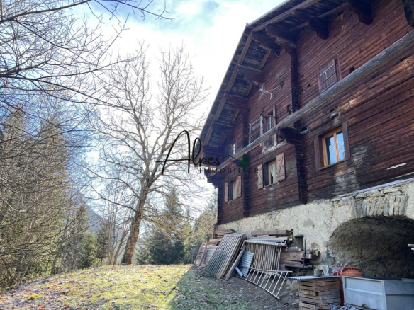 Chalet d'alpage en bois, partiellement rénové, entouré d'arbres à La Clusaz.