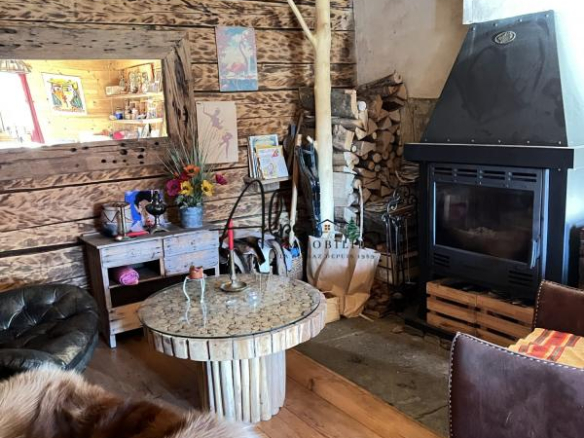 Intérieur d'un chalet d'alpage avec un salon en bois, cheminée et mobilier rustique.
