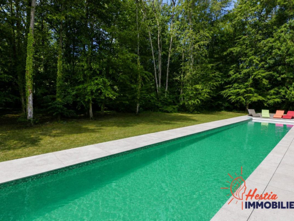 Piscine d'une villa entourée d'arbres à Pargny-lès-Reims
