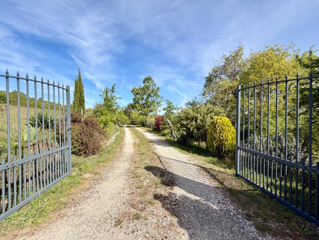 Allée d’accès à la propriété Allée menant à une propriété avec des arbres et des buissons, sous un ciel bleu.