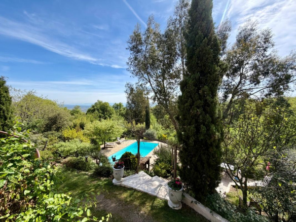 Vue d'un jardin avec piscine et arbres, propriété en pleine nature.