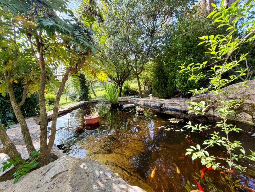 Jardin avec étang Un étang entouré de verdure et de plantes, avec des pots en terre cuite, dans un jardin paisible.
