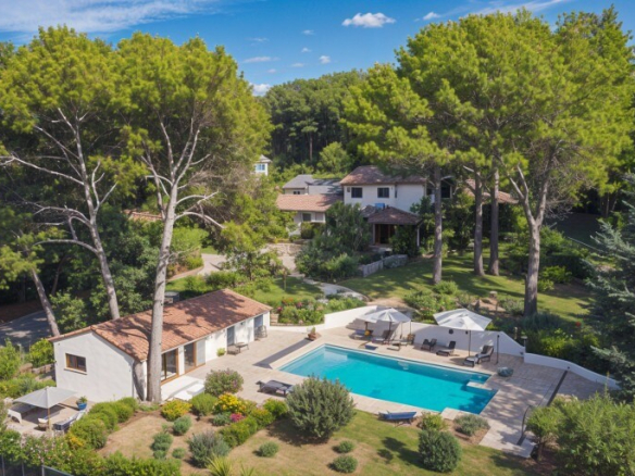 Aerial view of a villa with swimming pool, guest house and garage, surrounded by trees in Biot.