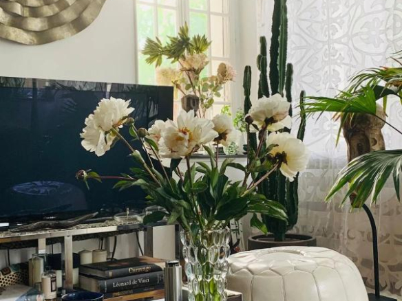 Intérieur d'un duplex avec un vase de fleurs blanches sur une table, plantes et télévision en arrière-plan.