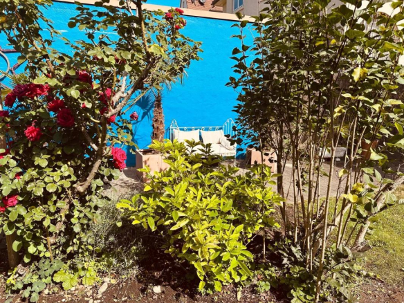 Jardin privatif avec fleurs et verdure, duplex à Strasbourg.