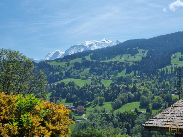 Panoramic view of the mountains and green meadows at Demi-Quartier.