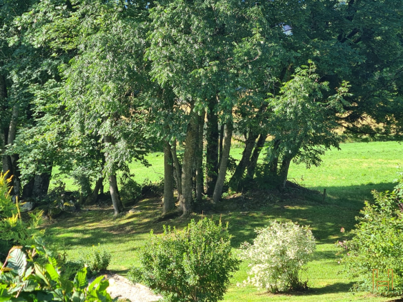 View of a landscaped garden with trees and bushes, surrounded by a green lawn.
