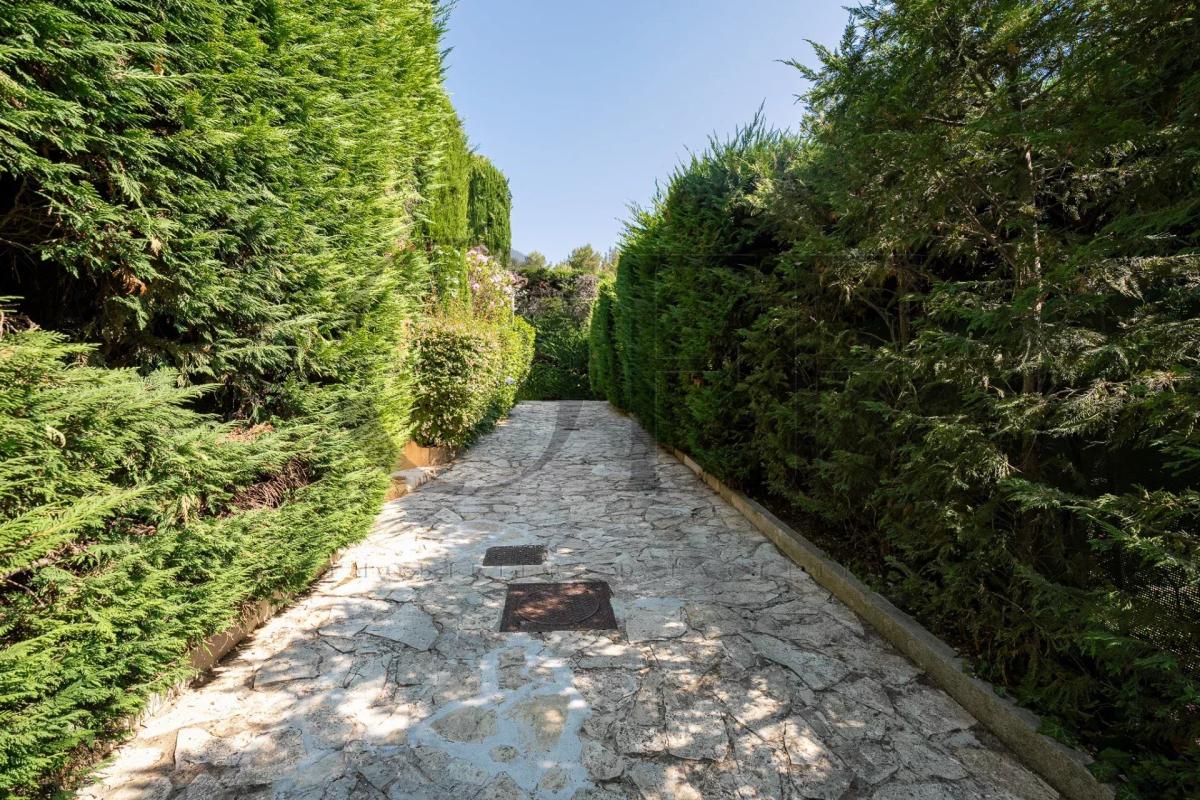 Allée d’accès à une villa d’exception à Marseille 12ᵉ Allée bordée d'arbres menant à une villa dans un domaine privé à Marseille 12ᵉ.