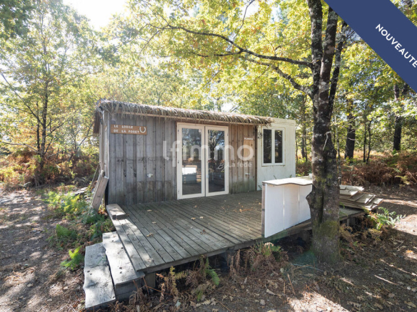 Wooden cabin with terrace surrounded by trees, located in a natural environment in Le Barp.