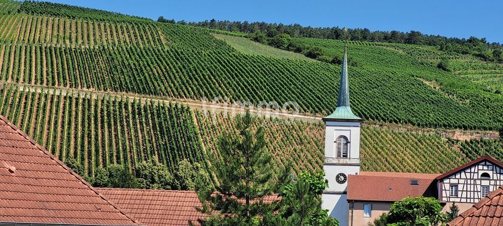 Vignes et clocher à Barr Vue sur des vignes et un clocher dans un paysage verdoyant à Barr.