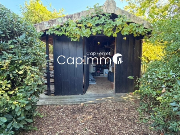 Wooden garden shed surrounded by greenery in Lège-Cap-Ferret.