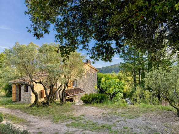Bergerie en pierre du XVIIIe siècle entourée d'oliviers à Lorgues, avec piscine et terrain verdoyant.