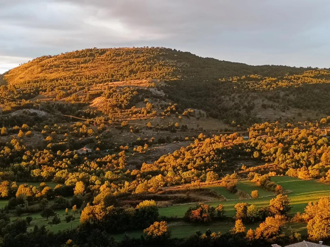 Panorama de Coursegoules Vue panoramique des collines et de la végétation à Coursegoules au coucher du soleil.
