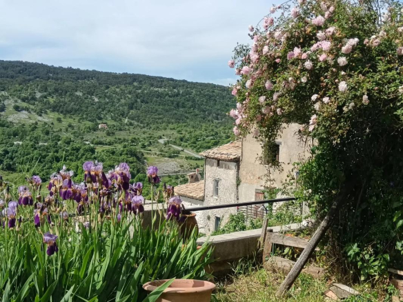 Vue de l'ancienne auberge à Coursegoules avec des fleurs et des collines en arrière-plan.