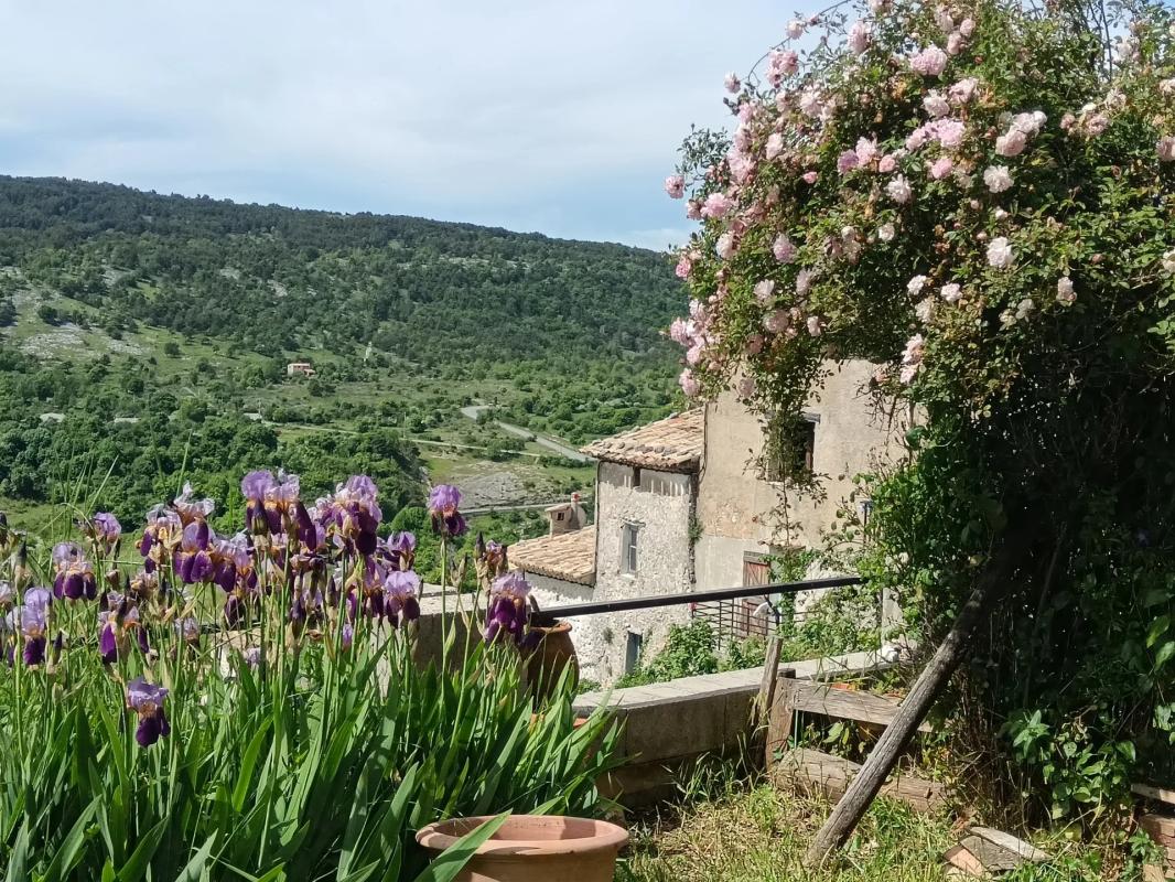 Ancienne auberge de Coursegoules Vue de l'ancienne auberge à Coursegoules avec des fleurs et des collines en arrière-plan.