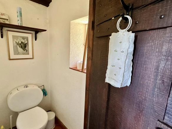 Intérieur d'une salle de bain avec toilettes et décoration simple.