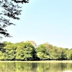 Propriété – Lille – 150000m²