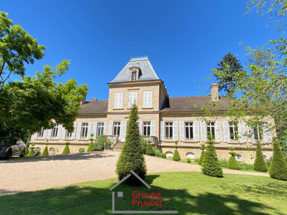 Vente Château à Mâcon | 1 695 000 € | 16 Pièces | 450 m²