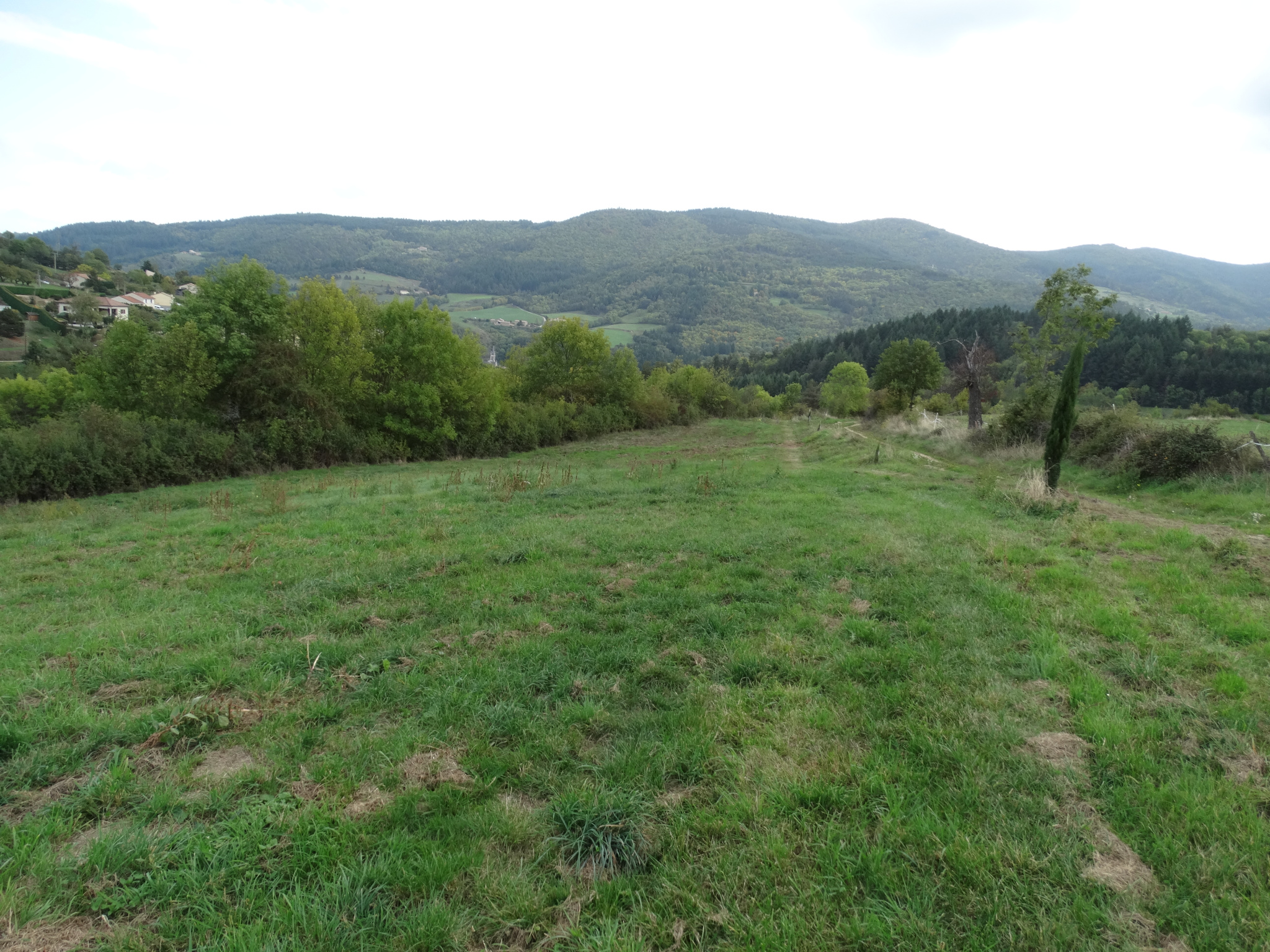 photo_e71a582569588466262473ca885729ea