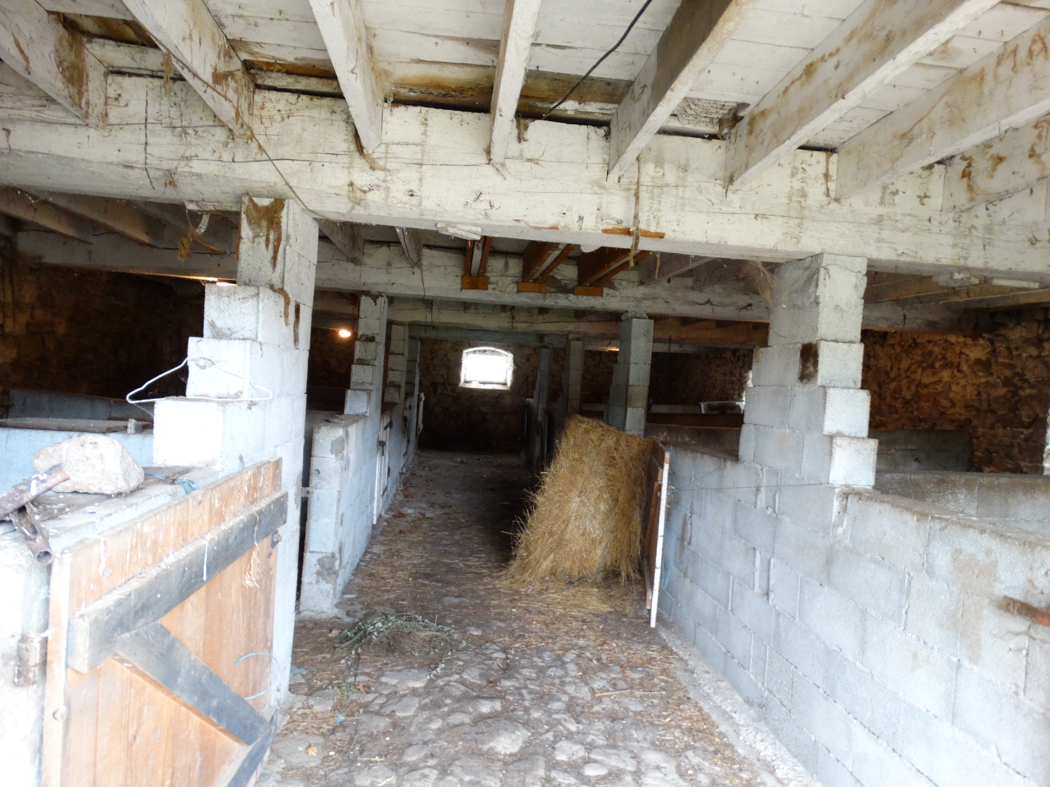 photo_ee36c92e00aa327e9cdcc58708dd3a24