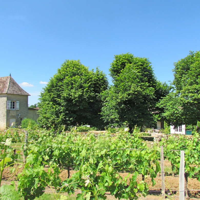 Splendid 1200m2 property