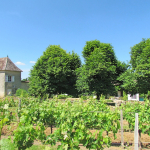  Wine property