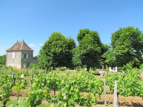  Propriété Viticole